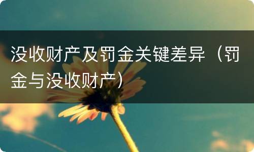 没收财产及罚金关键差异（罚金与没收财产）