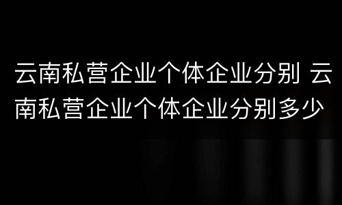 云南私营企业个体企业分别 云南私营企业个体企业分别多少家