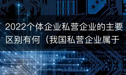 2022个体企业私营企业的主要区别有何（我国私营企业属于）