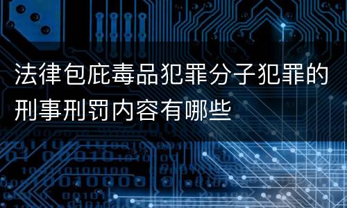 法律包庇毒品犯罪分子犯罪的刑事刑罚内容有哪些