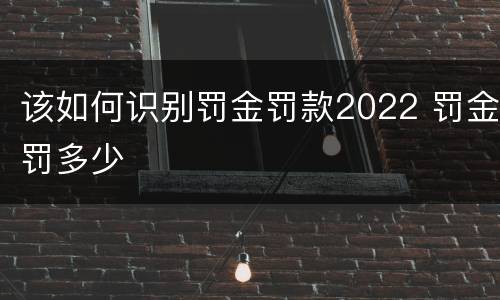 该如何识别罚金罚款2022 罚金罚多少