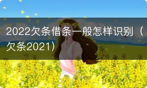 2022欠条借条一般怎样识别（欠条2021）