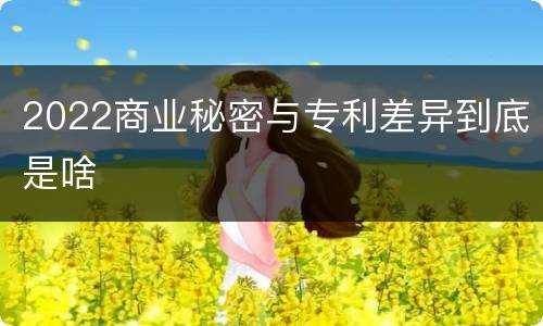2022商业秘密与专利差异到底是啥