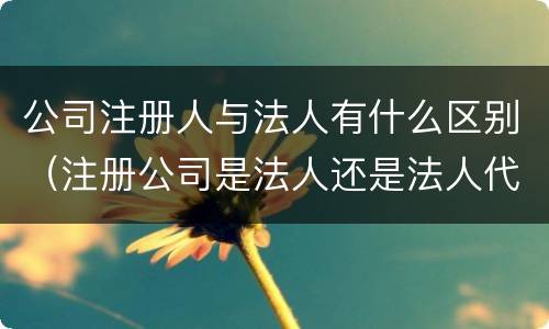 公司注册人与法人有什么区别（注册公司是法人还是法人代表）