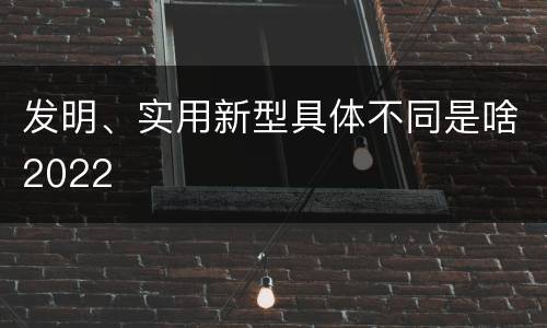 发明、实用新型具体不同是啥2022