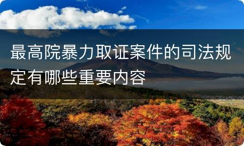 最高院暴力取证案件的司法规定有哪些重要内容