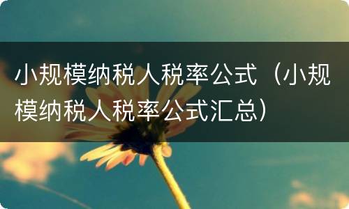 小规模纳税人税率公式（小规模纳税人税率公式汇总）