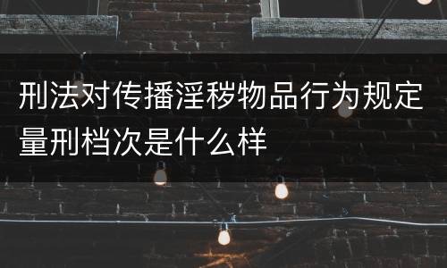 刑法对传播淫秽物品行为规定量刑档次是什么样
