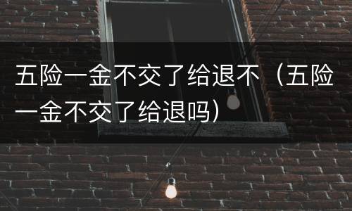 五险一金不交了给退不（五险一金不交了给退吗）