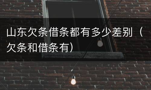 山东欠条借条都有多少差别（欠条和借条有）