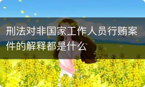 刑法对非国家工作人员行贿案件的解释都是什么