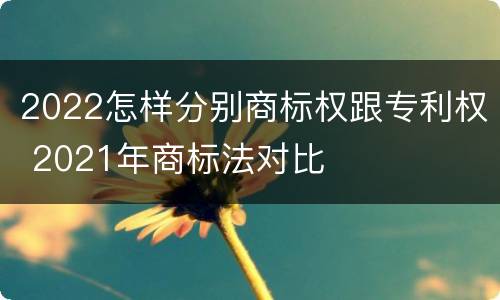 2022怎样分别商标权跟专利权 2021年商标法对比