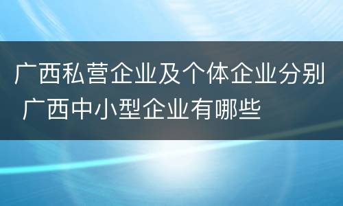 广西私营企业及个体企业分别 广西中小型企业有哪些