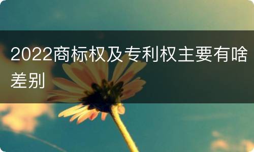 2022商标权及专利权主要有啥差别
