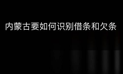 内蒙古要如何识别借条和欠条
