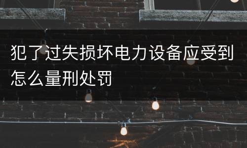犯了过失损坏电力设备应受到怎么量刑处罚