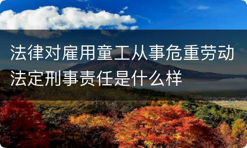 法律对雇用童工从事危重劳动法定刑事责任是什么样
