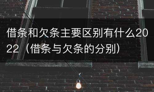 借条和欠条主要区别有什么2022（借条与欠条的分别）