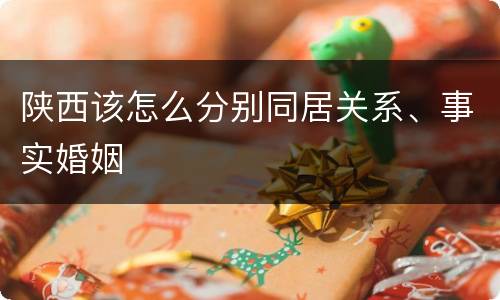 陕西该怎么分别同居关系、事实婚姻