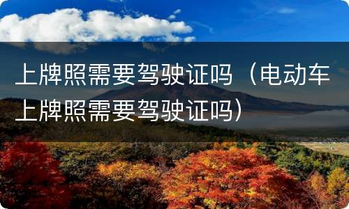 上牌照需要驾驶证吗（电动车上牌照需要驾驶证吗）