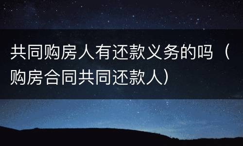 共同购房人有还款义务的吗（购房合同共同还款人）