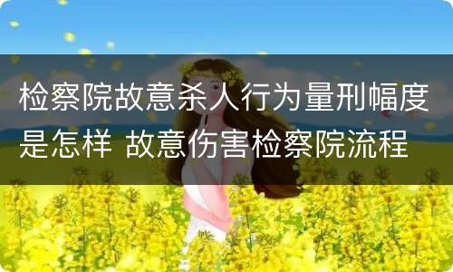 检察院故意杀人行为量刑幅度是怎样 故意伤害检察院流程
