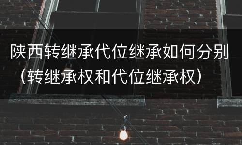 陕西转继承代位继承如何分别（转继承权和代位继承权）