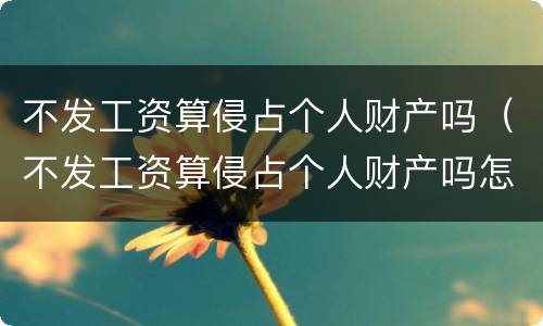 不发工资算侵占个人财产吗（不发工资算侵占个人财产吗怎么处理）