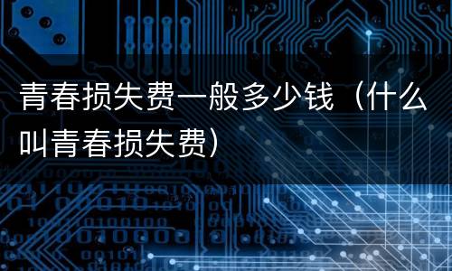 青春损失费一般多少钱（什么叫青春损失费）