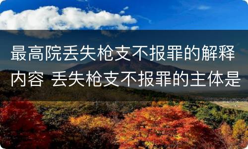 最高院丢失枪支不报罪的解释内容 丢失枪支不报罪的主体是什么