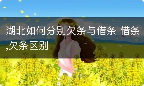湖北如何分别欠条与借条 借条,欠条区别