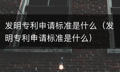 发明专利申请标准是什么（发明专利申请标准是什么）