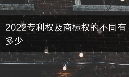 2022专利权及商标权的不同有多少