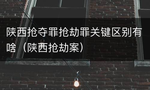 陕西抢夺罪抢劫罪关键区别有啥（陕西抢劫案）
