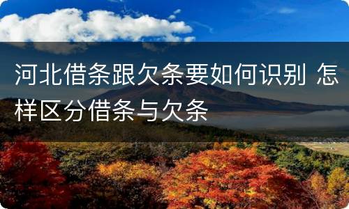 河北借条跟欠条要如何识别 怎样区分借条与欠条