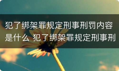犯了绑架罪规定刑事刑罚内容是什么 犯了绑架罪规定刑事刑罚内容是什么意思