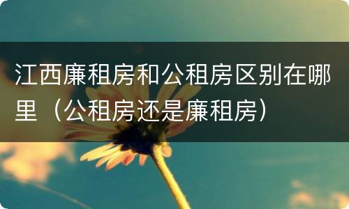 江西廉租房和公租房区别在哪里（公租房还是廉租房）