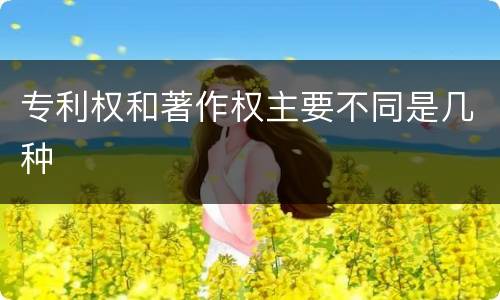 专利权和著作权主要不同是几种