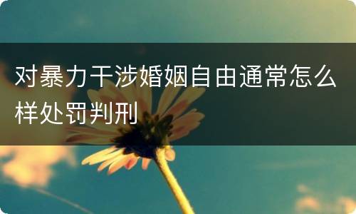 对暴力干涉婚姻自由通常怎么样处罚判刑