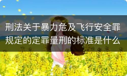 刑法关于暴力危及飞行安全罪规定的定罪量刑的标准是什么