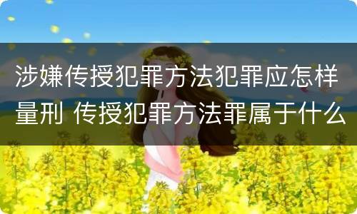 涉嫌传授犯罪方法犯罪应怎样量刑 传授犯罪方法罪属于什么罪