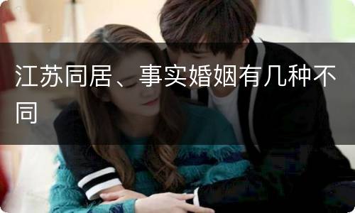 江苏同居、事实婚姻有几种不同