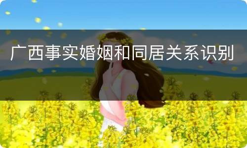 广西事实婚姻和同居关系识别