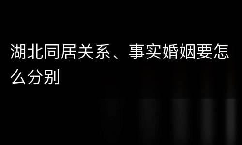 湖北同居关系、事实婚姻要怎么分别