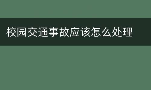 校园交通事故应该怎么处理