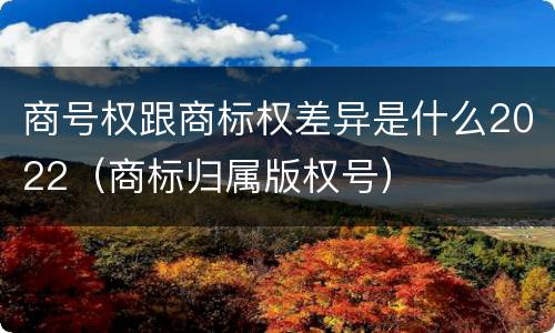 商号权跟商标权差异是什么2022（商标归属版权号）