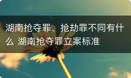 湖南抢夺罪、抢劫罪不同有什么 湖南抢夺罪立案标准