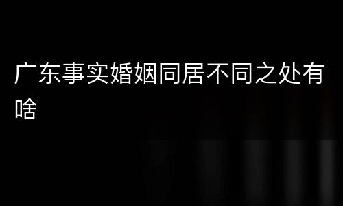 广东事实婚姻同居不同之处有啥