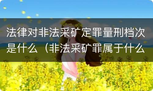 法律对非法采矿定罪量刑档次是什么（非法采矿罪属于什么类型罪）