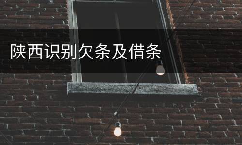 陕西识别欠条及借条